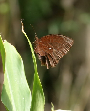 IMG_6895_调整大小.jpg