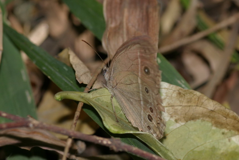 IMG_7520_调整大小.jpg