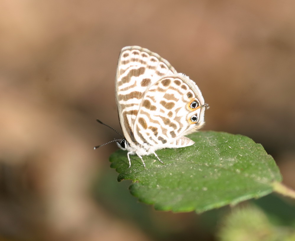 IMG_7038_调整大小.jpg