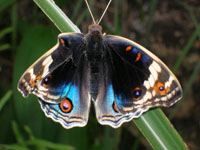 DSCN6391.JPG
