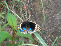 DSCN6390.JPG