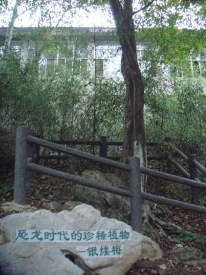 我自己拍的.jpg