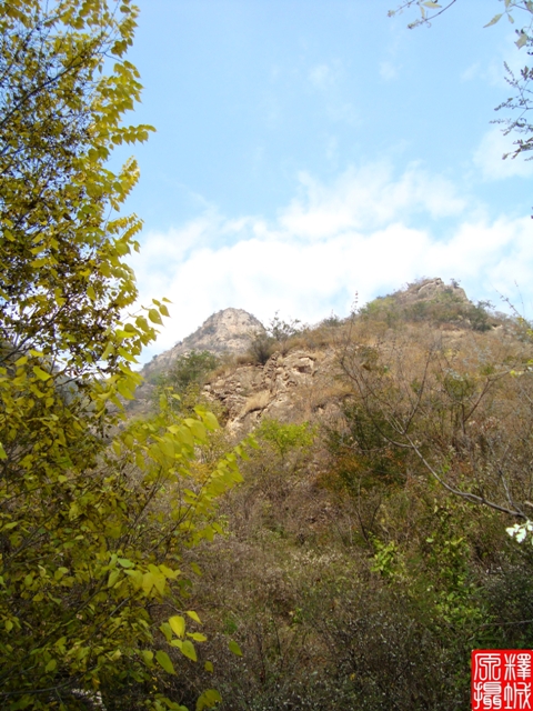 DSC02382.JPG