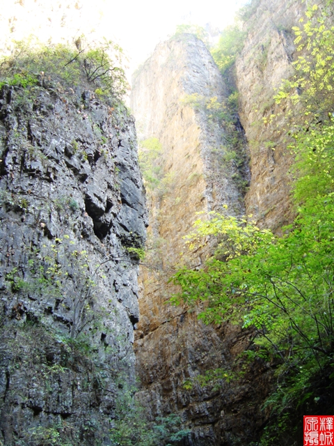 DSC02480.JPG