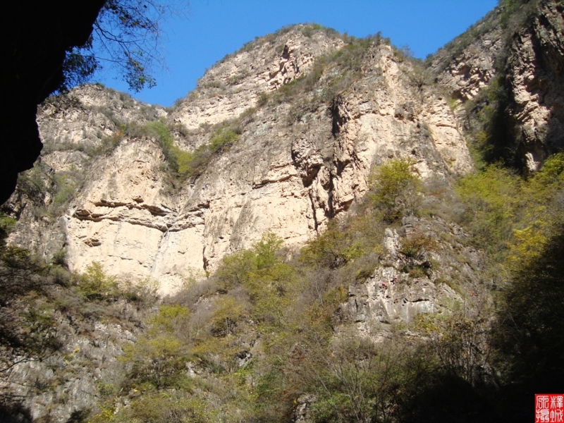 DSC02441.JPG
