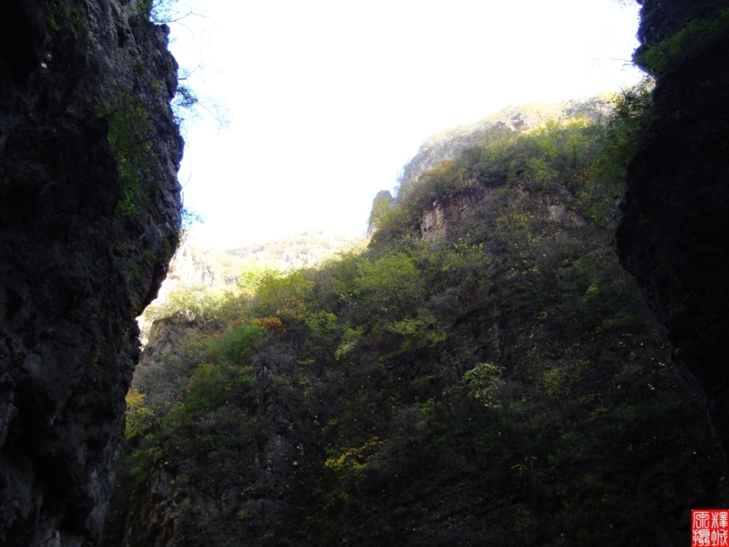 DSC02487.JPG