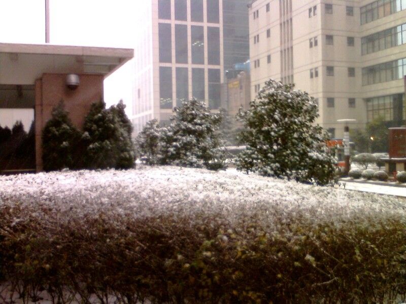 IMG0090A.jpg