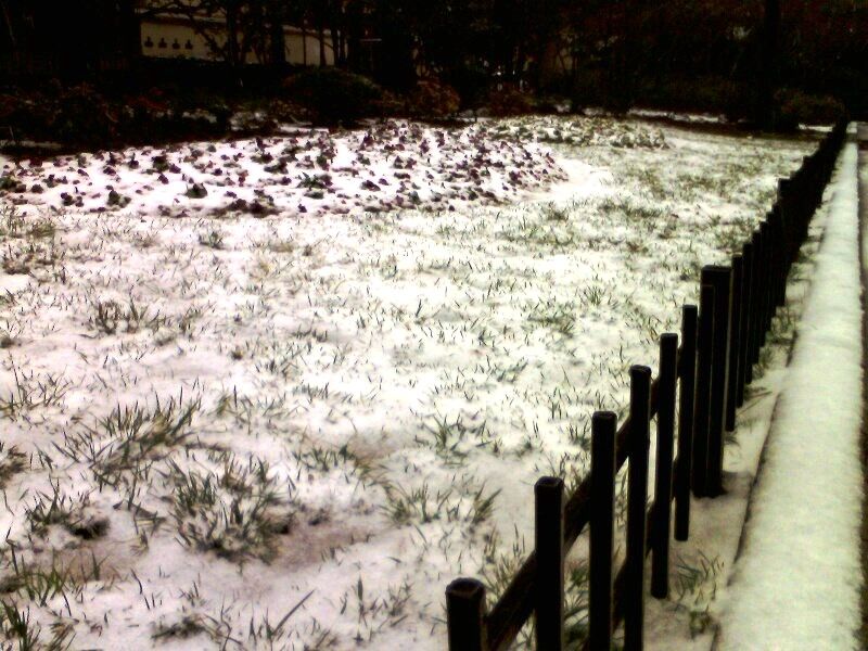 IMG0057A.jpg