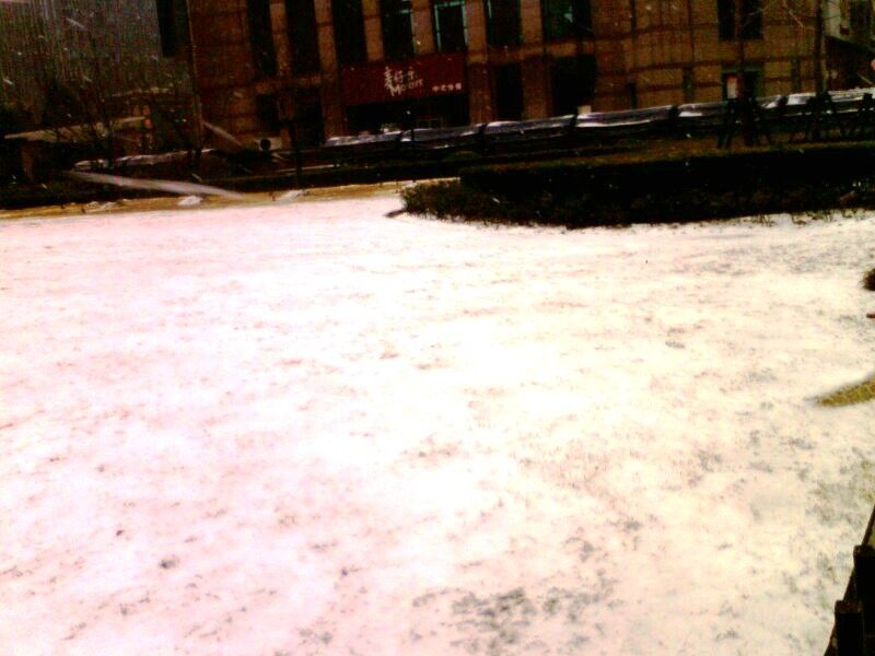 IMG0063A.jpg