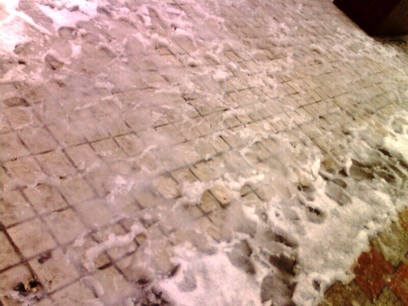 IMG0061A.jpg