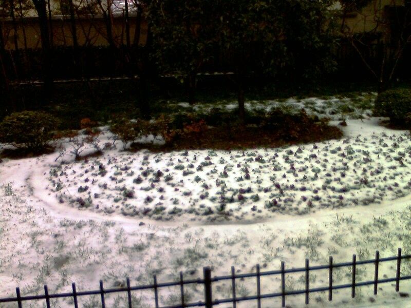 IMG0058A.jpg
