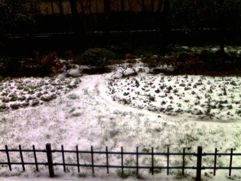 IMG0060A.jpg