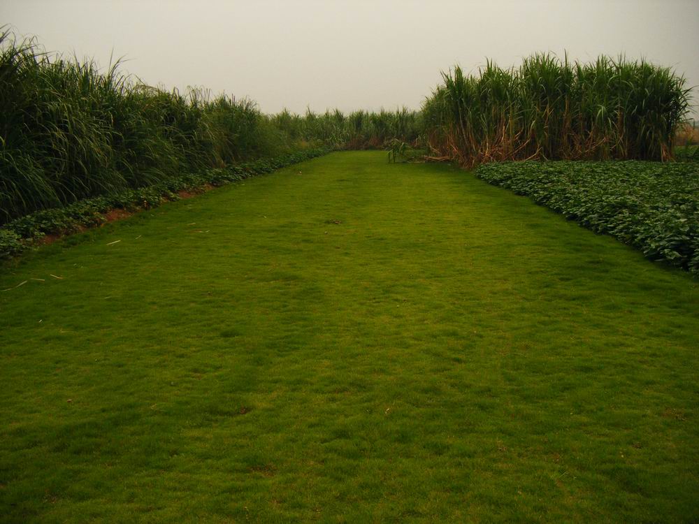DSCF0892.JPG
