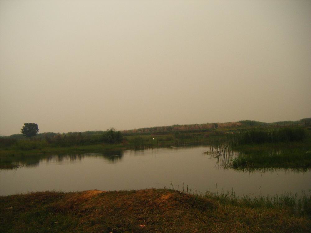 DSCF0895.JPG