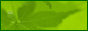 logo1.gif