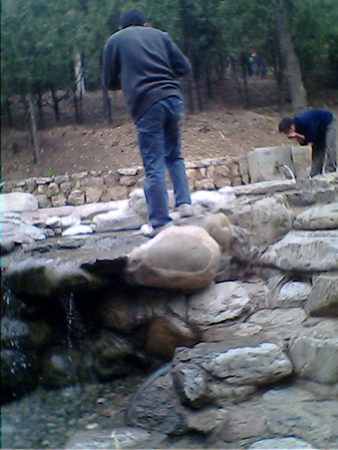 IMG0159A.jpg