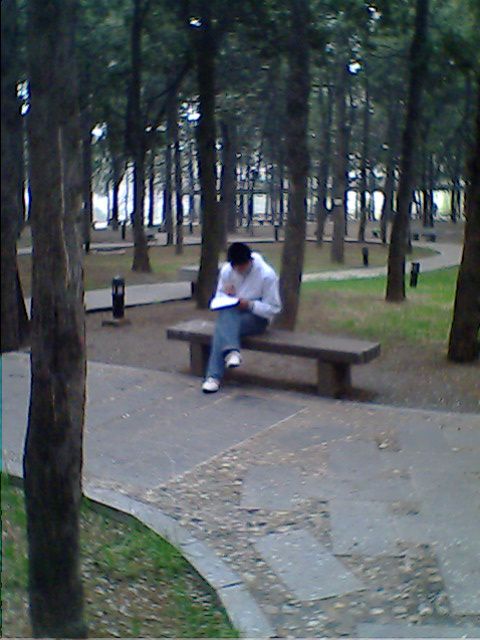 IMG0156A.jpg