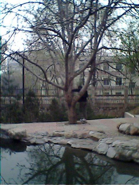 IMG0161A.jpg
