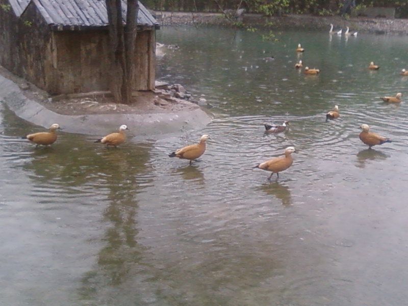 照片-0108.jpg