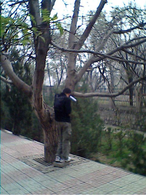 IMG0162A.jpg