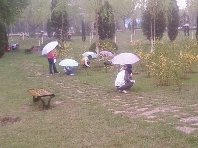 照片-0095.jpg