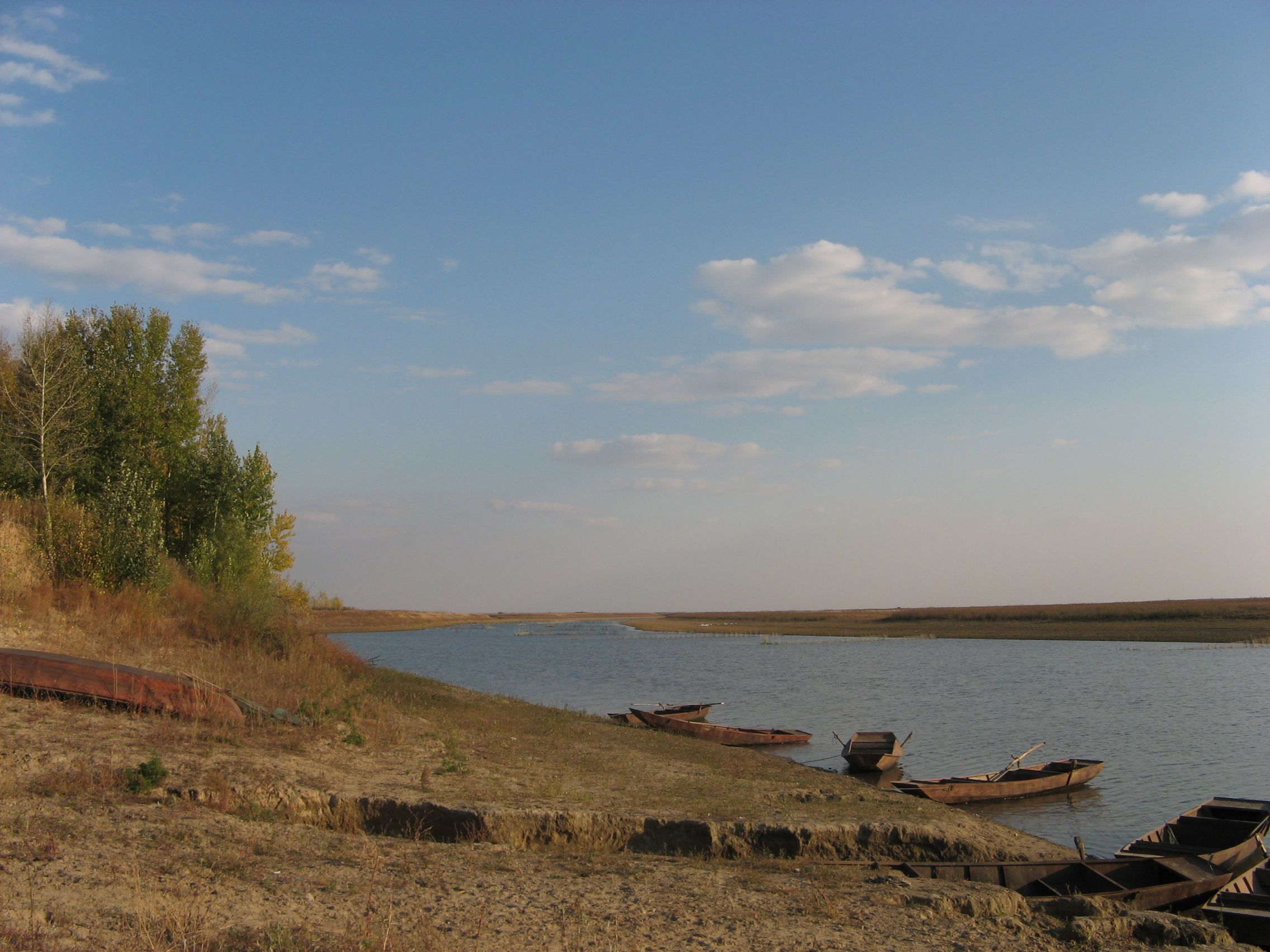 IMG_4720.JPG