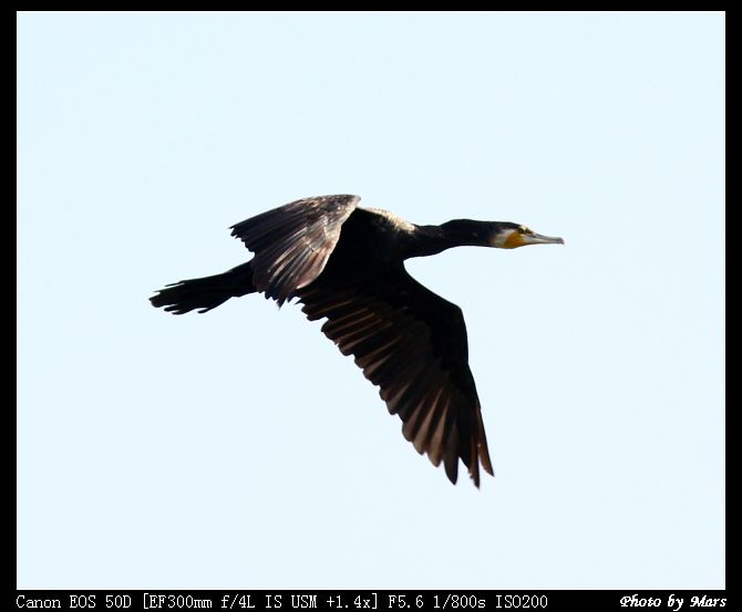 IMG_6418.jpg