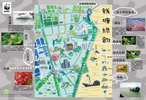 钱塘江绿地图背面.jpg