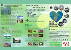 梁子湖绿地图反面.jpg