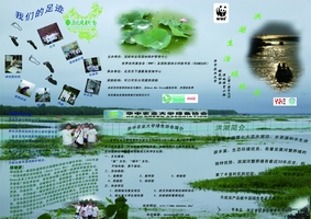 洪湖湿地绿地图封面.jpg
