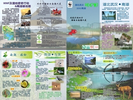 南湖绿地图反面1.jpg