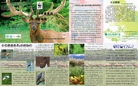 大丰中华麋鹿园绿地图背面.jpg