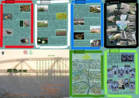 黄河湿地背面.jpg