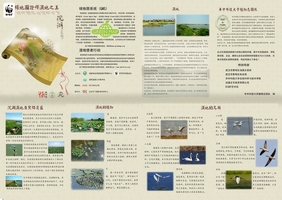 沉湖湿地绿地图背面.jpg
