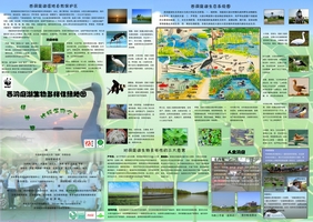 西洞庭绿地图背面.jpg