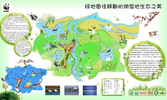 鄱阳湖湿地绿地图正面.jpg