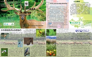 大丰中华麋鹿园绿地图背面.jpg