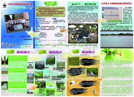 大丰绿地图背面.jpg