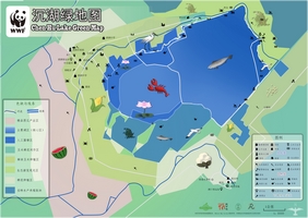 沉湖湿地绿地图正面.jpg