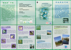 大沽河湿地绿地图反面.jpg