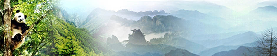 无标题副本.jpg