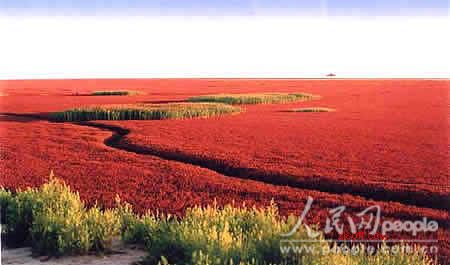 15_44780_e5af68c992f6d66.jpg