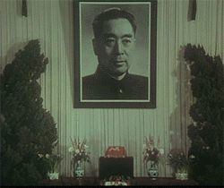 20110109_a5e966ea7b213e6c193395vOeADUgvVF.gif