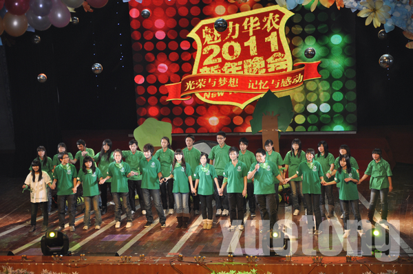 20110101031317208.jpg