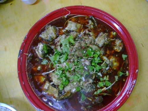 鱼溪鱼