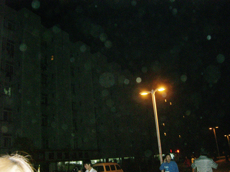 CIMG7808.jpg
