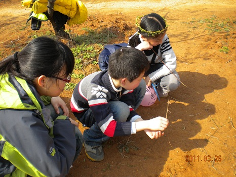 DSCN6347.JPG