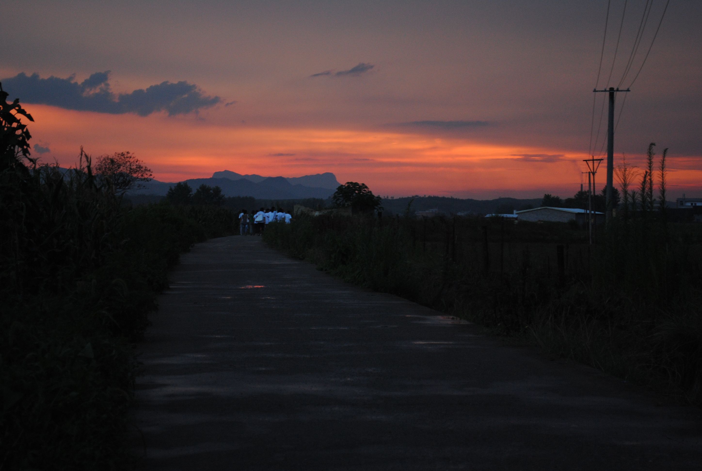 DSC_0646.JPG