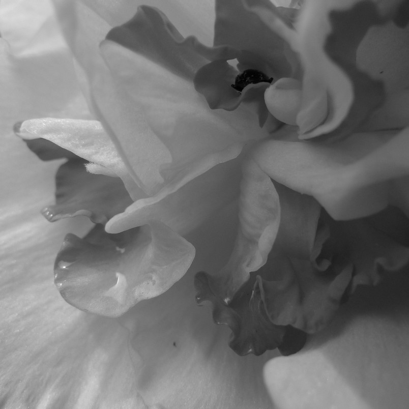 P1010145_01.jpg