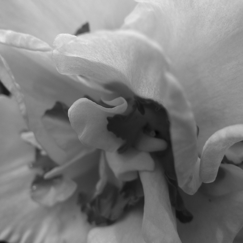P1010144_01.jpg